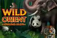 WILD ORIENT?v=6.0